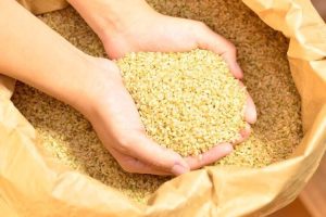 A nutritionist teaches!Three effects you can expect from brown rice