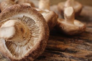 A registered dietitian explains the nutritional components and effects of shiitake mushrooms!Effective way to eat