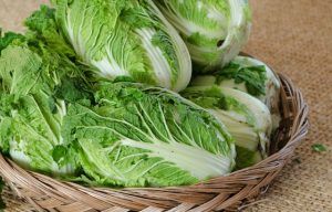 Also for beauty measures! How to use low-calorie Chinese cabbage[written by a registered dietitian]