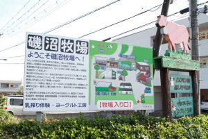 About 60 minutes from Shinjuku!Dairy experience at an open farm in Tokyo